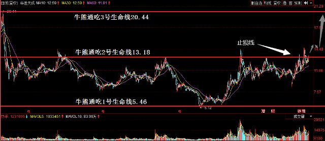 澳门精准王中王三肖三码2021|全面贯彻解释落实,澳门精准王中王三肖三码与全面贯彻解释落实，揭示背后的违法犯罪问题