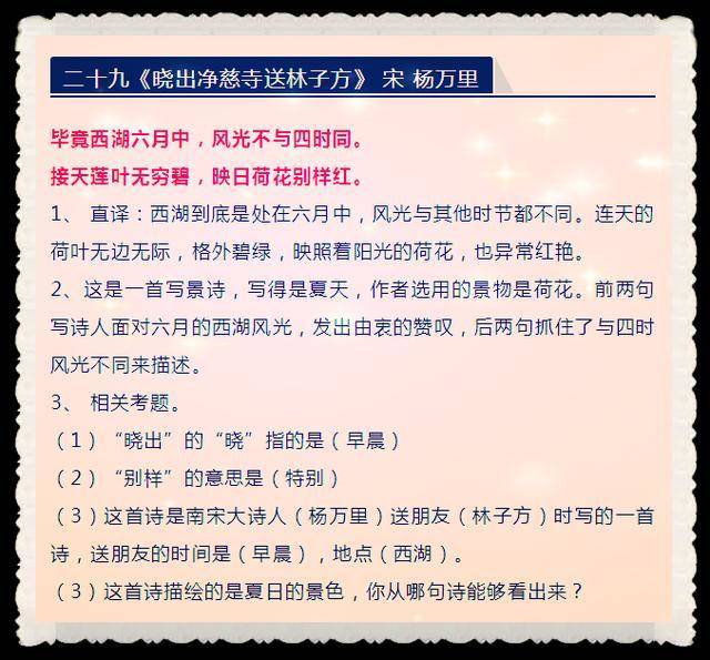 四不像正版资料2025年|词语释义解释落实,四不像正版资料2025年，词语释义与落实策略探讨