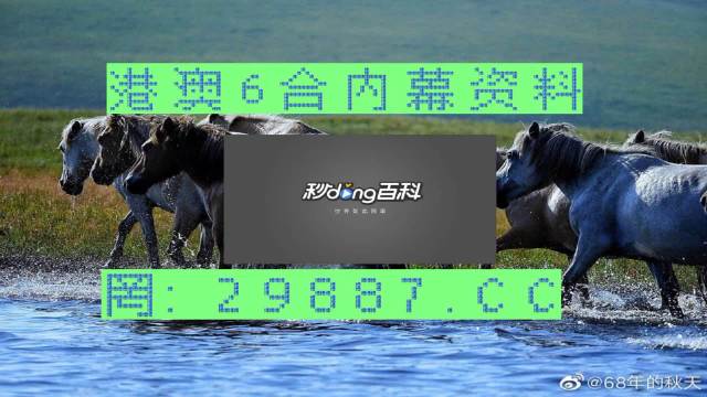 澳门正版内部马会绝密资料|精选解析解释落实,澳门正版内部马会绝密资料精选解析解释落实