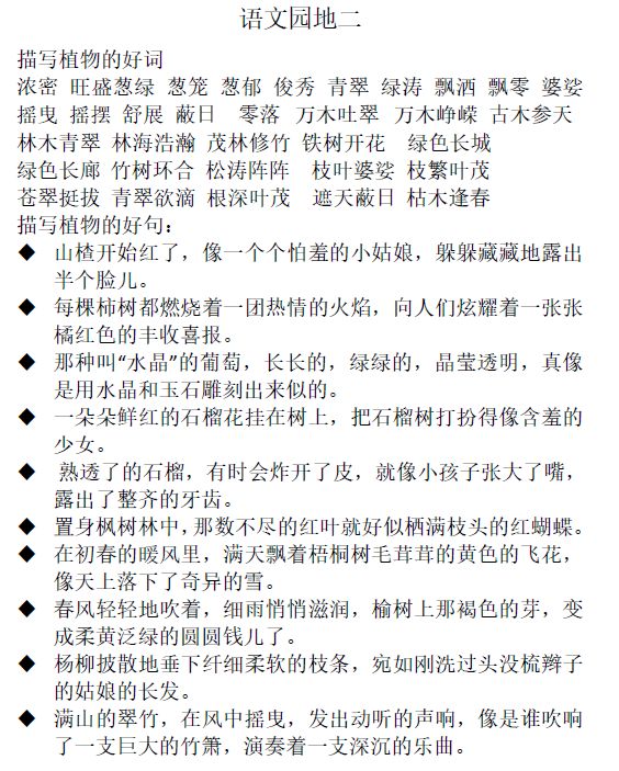 王中王493333中特马最新版下载|词语释义解释落实,王中王493333中特马最新版下载与词语释义解释落实探讨